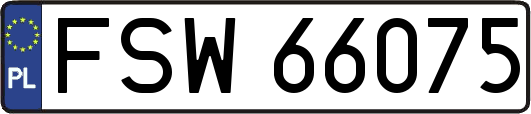 FSW66075