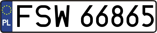 FSW66865