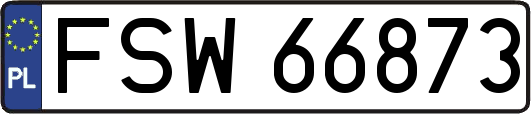 FSW66873