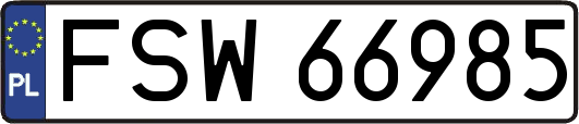 FSW66985