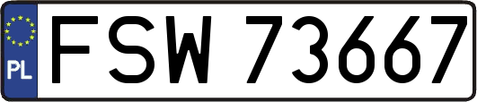 FSW73667