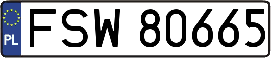 FSW80665