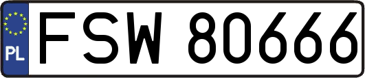 FSW80666