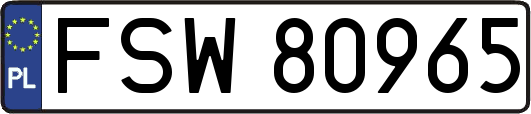 FSW80965