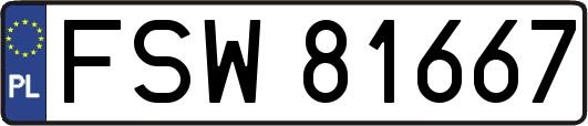 FSW81667