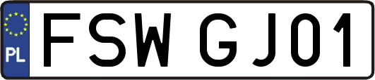 FSWGJ01