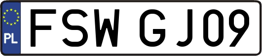 FSWGJ09