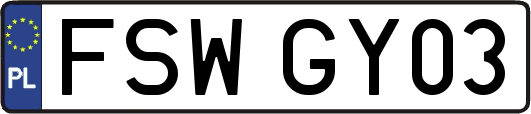 FSWGY03