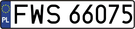 FWS66075