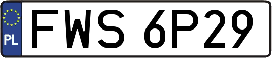 FWS6P29