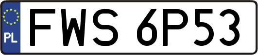 FWS6P53