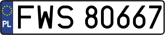 FWS80667