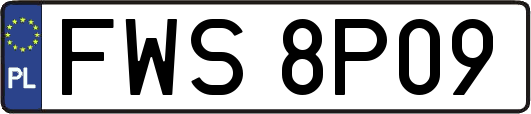 FWS8P09