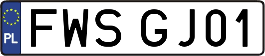 FWSGJ01