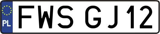 FWSGJ12