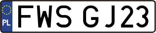 FWSGJ23