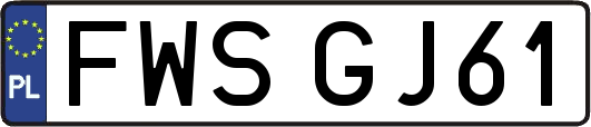 FWSGJ61