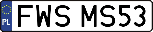 FWSMS53