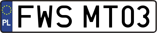 FWSMT03