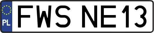 FWSNE13