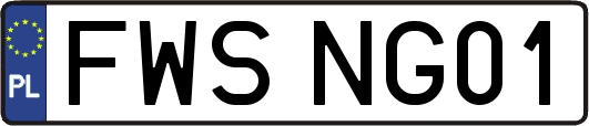 FWSNG01
