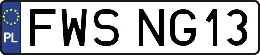 FWSNG13