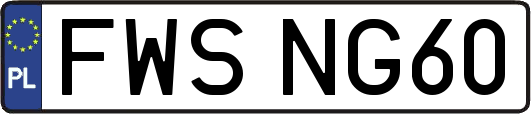 FWSNG60