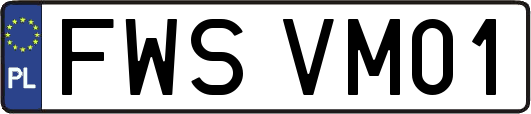 FWSVM01