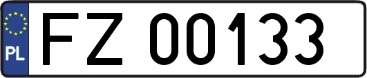 FZ00133