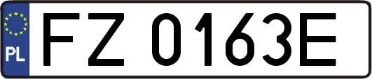 FZ0163E