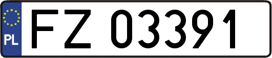 FZ03391