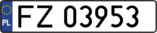 FZ03953