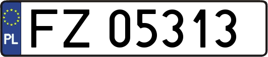 FZ05313