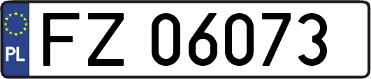 FZ06073