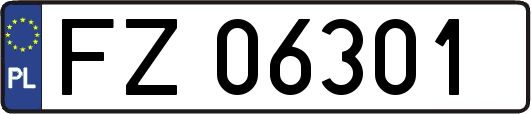 FZ06301