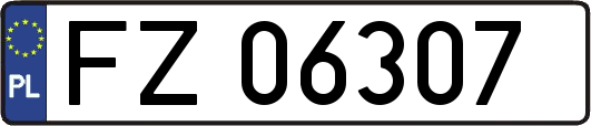 FZ06307