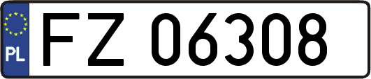 FZ06308