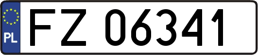 FZ06341