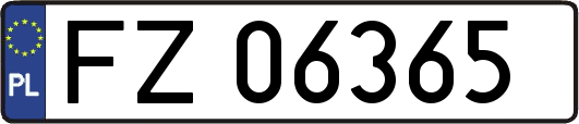 FZ06365