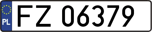 FZ06379