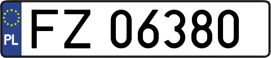 FZ06380