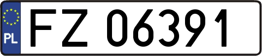 FZ06391