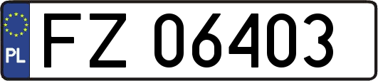 FZ06403