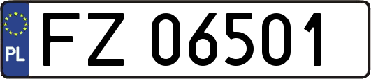 FZ06501
