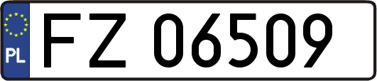 FZ06509