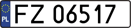 FZ06517