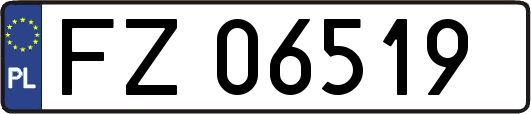 FZ06519