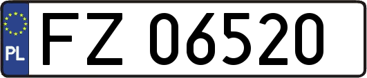 FZ06520