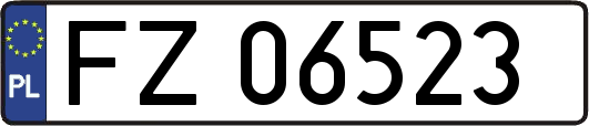 FZ06523