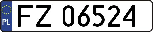 FZ06524